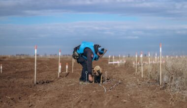 Bosnian Dogs Used In Demining Operations For Ukrainian Safety