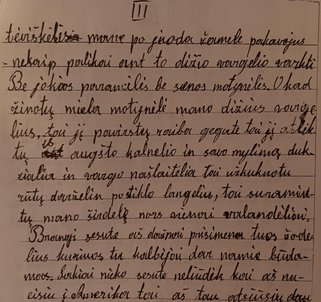 Hello again. This is page 3 of my great grandfather and his sister's letters from 1935. My great grandfather came to the USA in 1913. He took a boat from Hamberg, Germany on the USS Lincoln. It took 12 days. Once again, I would appreciate of someone could translate this. Thank you in advanced.