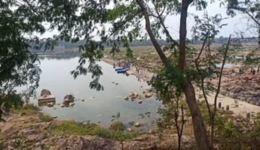 Environment ministry expert panels