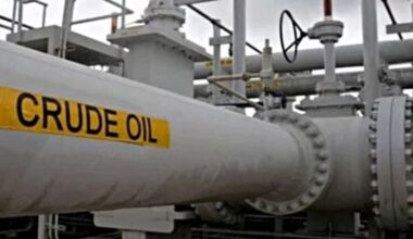 India’s energy demand has been growing swiftly, resulting in rising crude oil and natural gas imports.