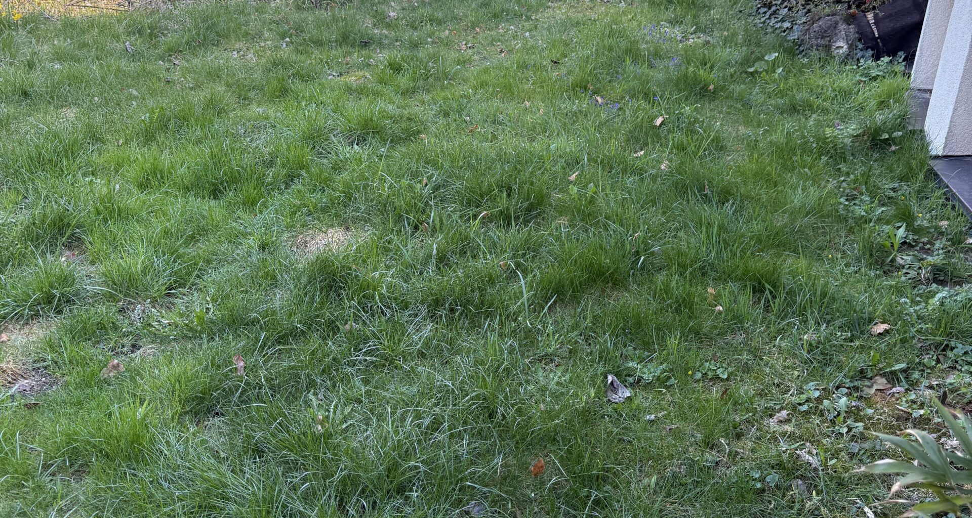 Wiese ordentlich flach bekommen