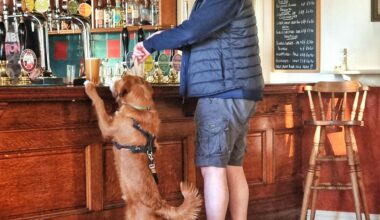 A pint with a mate