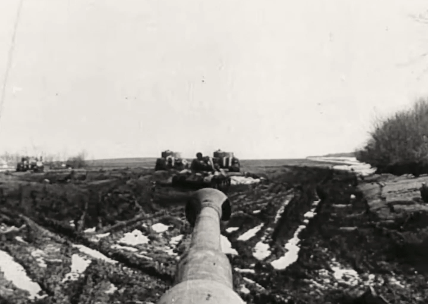 Tiger Tank barrel cam on the Eastern Front in early 1944