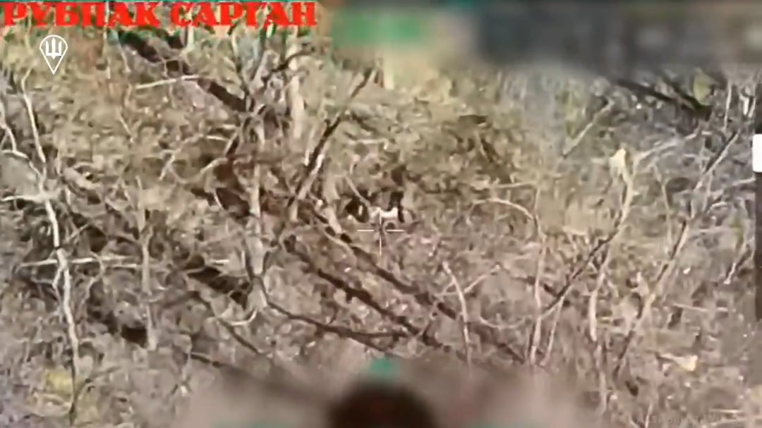 A Russian soldier beating up his comrade didn't see the Ukrainian FPV drone strike incoming. Published by Ukrainian paratroopers on April 29, 2025