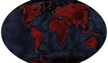 world map: an art project made in QGIS
