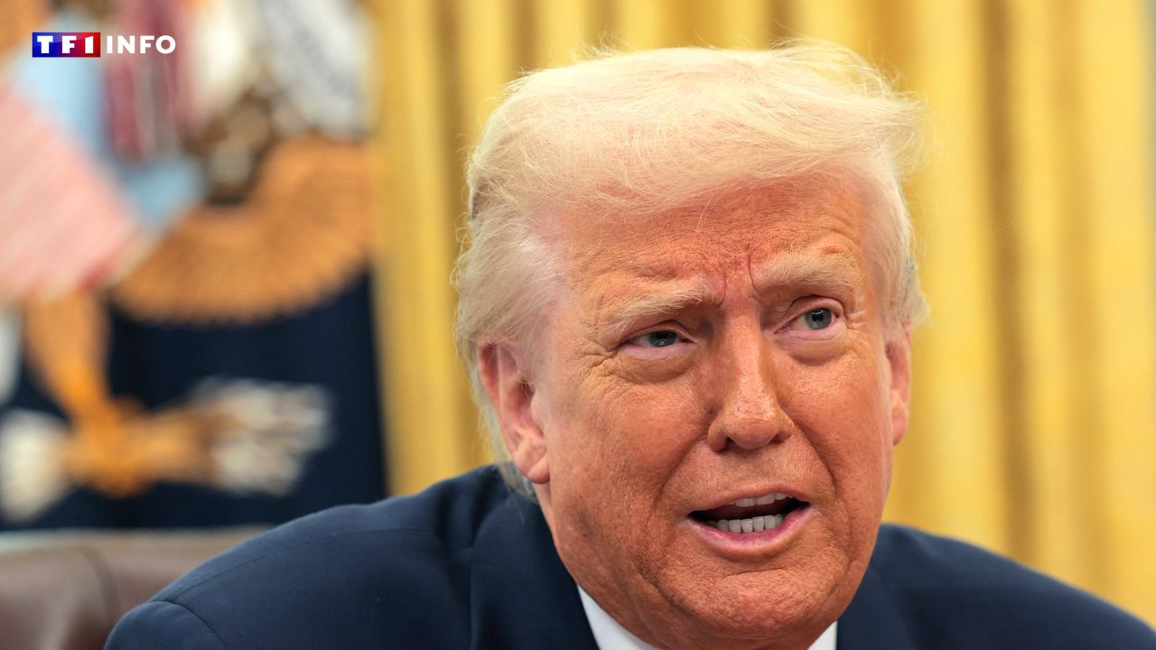 EN DIRECT - Guerre en Ukraine : Poutine "remplira sa part", assure Trump