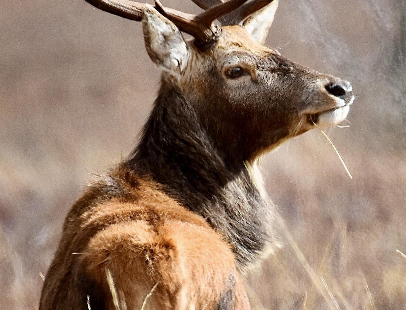 Majestic… Glen Etive 🏴󠁧󠁢󠁳󠁣󠁴󠁿