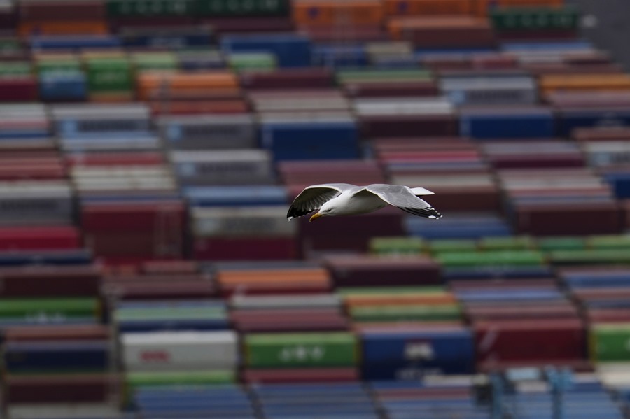 Vista de la terminal de contenedores del Puerto