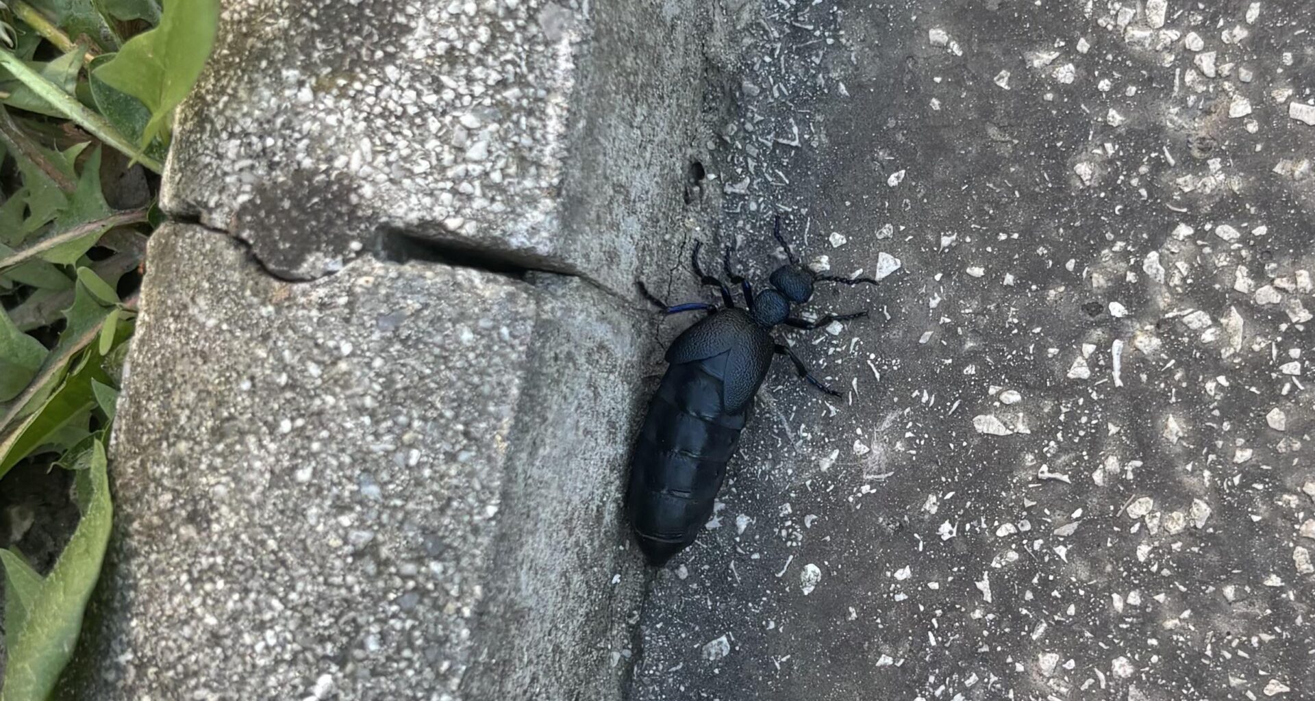 Wer hat mir hier aufgelauert?