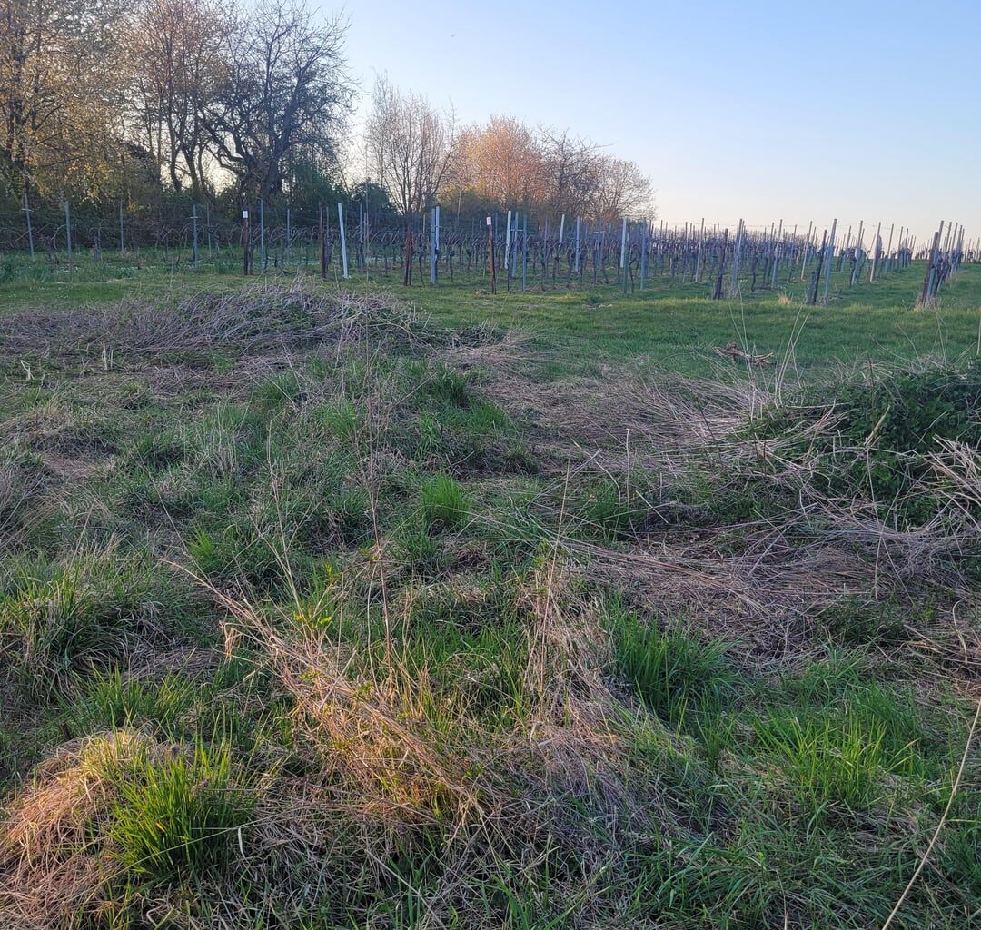 Großer unebener Garten