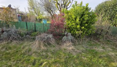 Garten aber keine ahnung