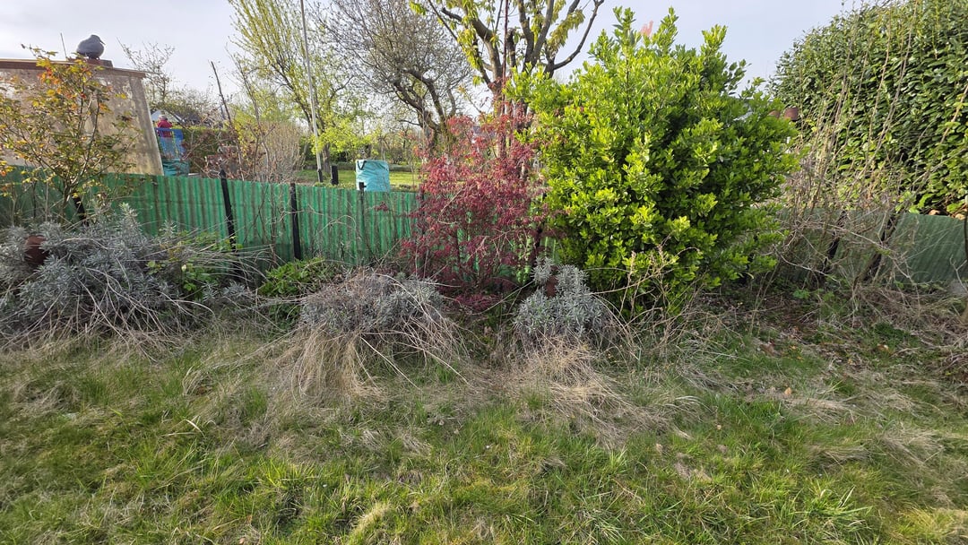 Garten aber keine ahnung