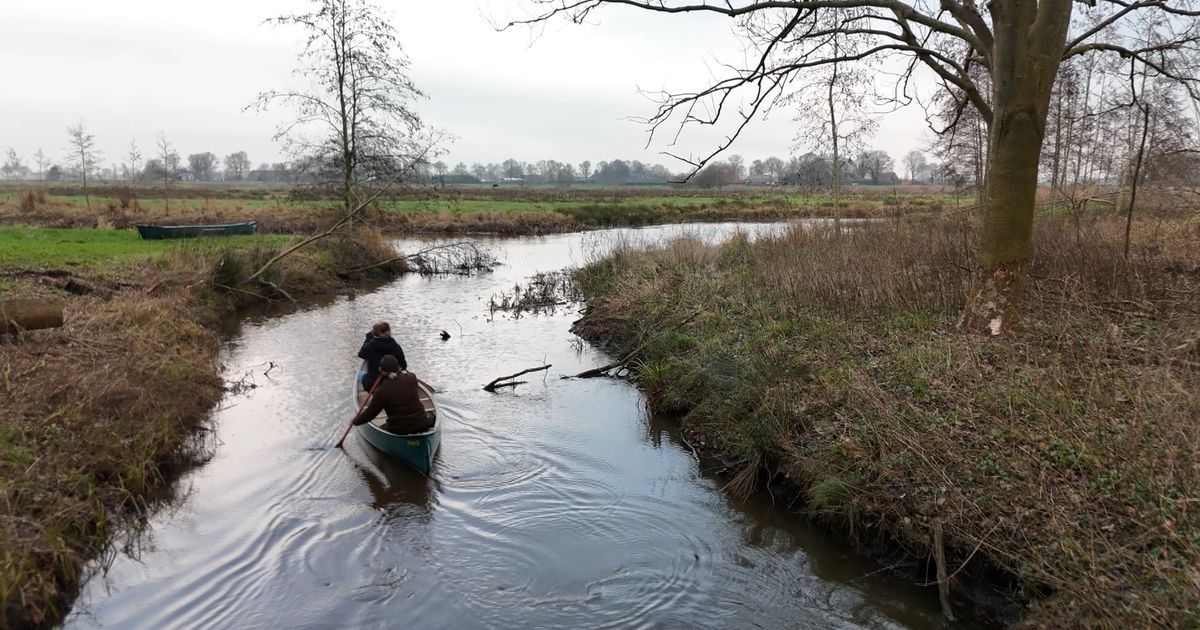 Expeditie Nederland: kanovaren in de winter en je eigen maaltje plukken in de natuur