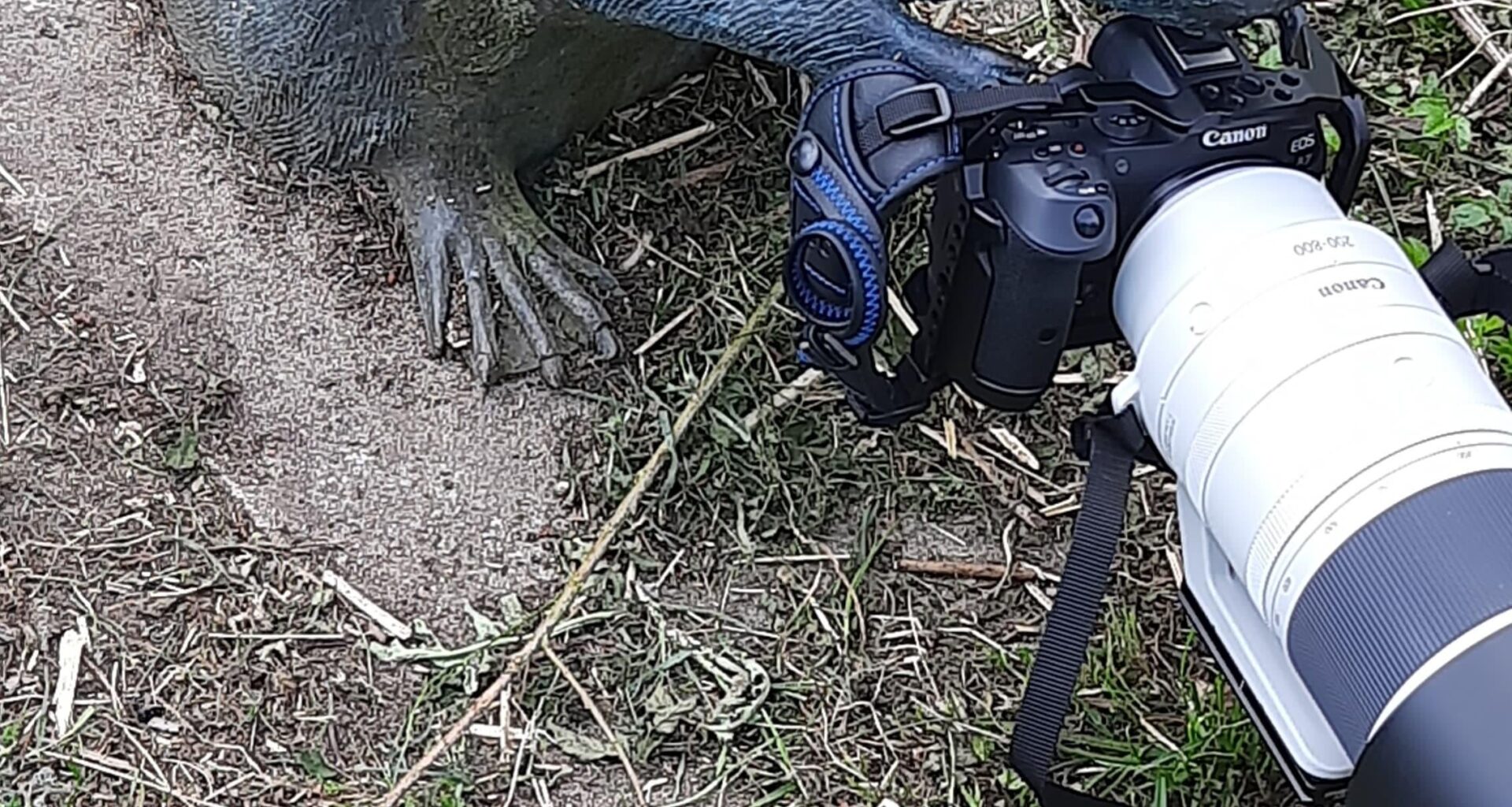 Tierfotograf, oder so.