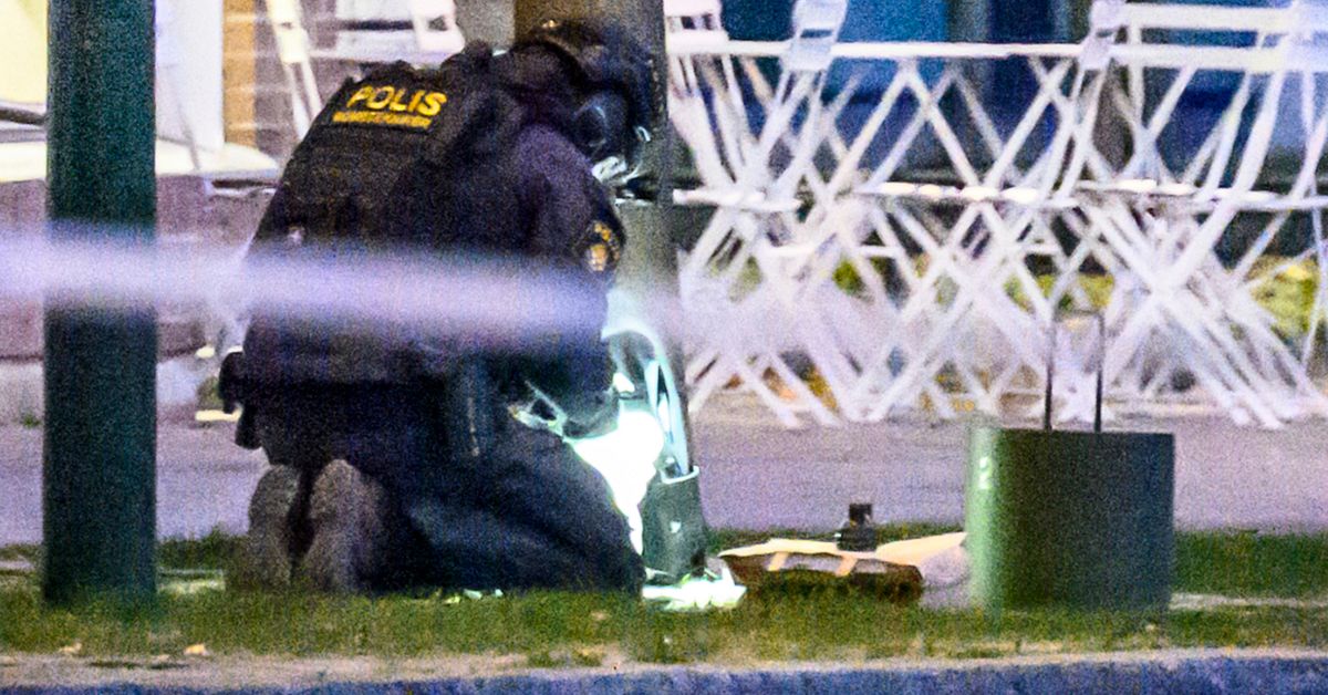 ”Minst tio” handgranater hittades i ryggsäck i Västra hamnen i Malmö