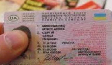 Ukraine, Latvia intend to agree on mutual recognition, exchange of national driver's licenses – Cabinet
