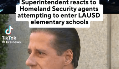 The irony is palpable: ICE is searching for these so-called “criminals” in workplaces, schools, and fields, while the biggest convicted criminal occupies the highest office in America.