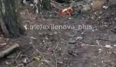 NSFW: Russian soldier films his dead comrades after Ukrainian strikes on their positions. [Graphic content, Published 02.04.2025]