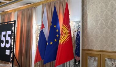 Kyrgyzstan proposes to Slovakia to create joint pharmaceutical ventures and increase agricultural exports - Ministry of Economy