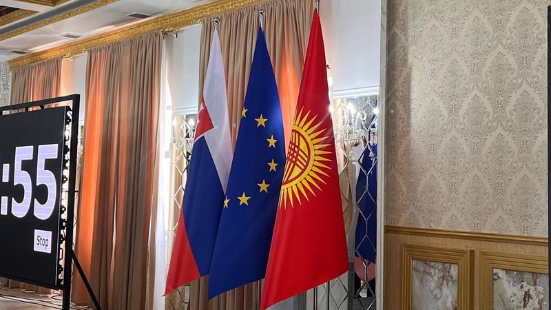 Kyrgyzstan proposes to Slovakia to create joint pharmaceutical ventures and increase agricultural exports - Ministry of Economy