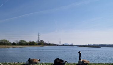 Walthamstow Wetlands on a beautiful day - a perfect place to be by water and away from crowds