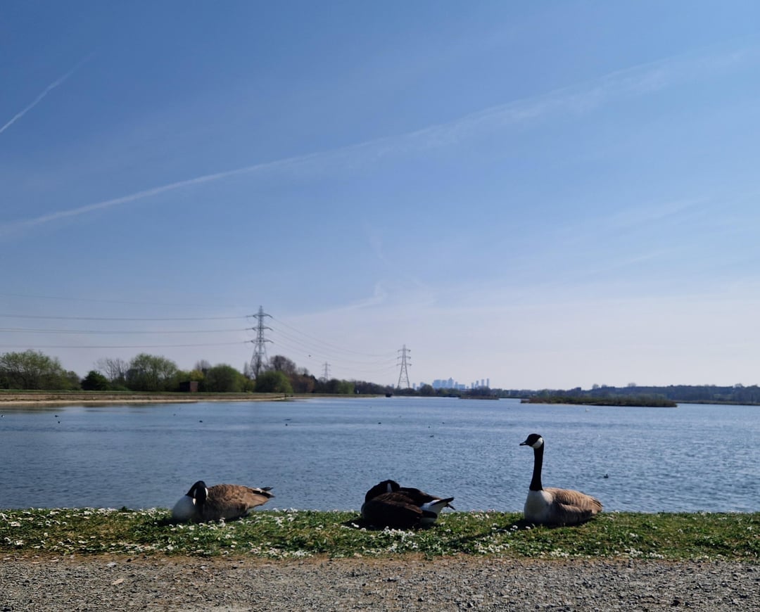 Walthamstow Wetlands on a beautiful day - a perfect place to be by water and away from crowds