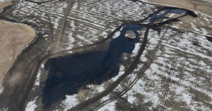 Company says thousands of gallons of oil have been recovered from a pipeline spill in North Dakota