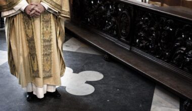Aantal volwassen dopelingen in België blijft toenemen