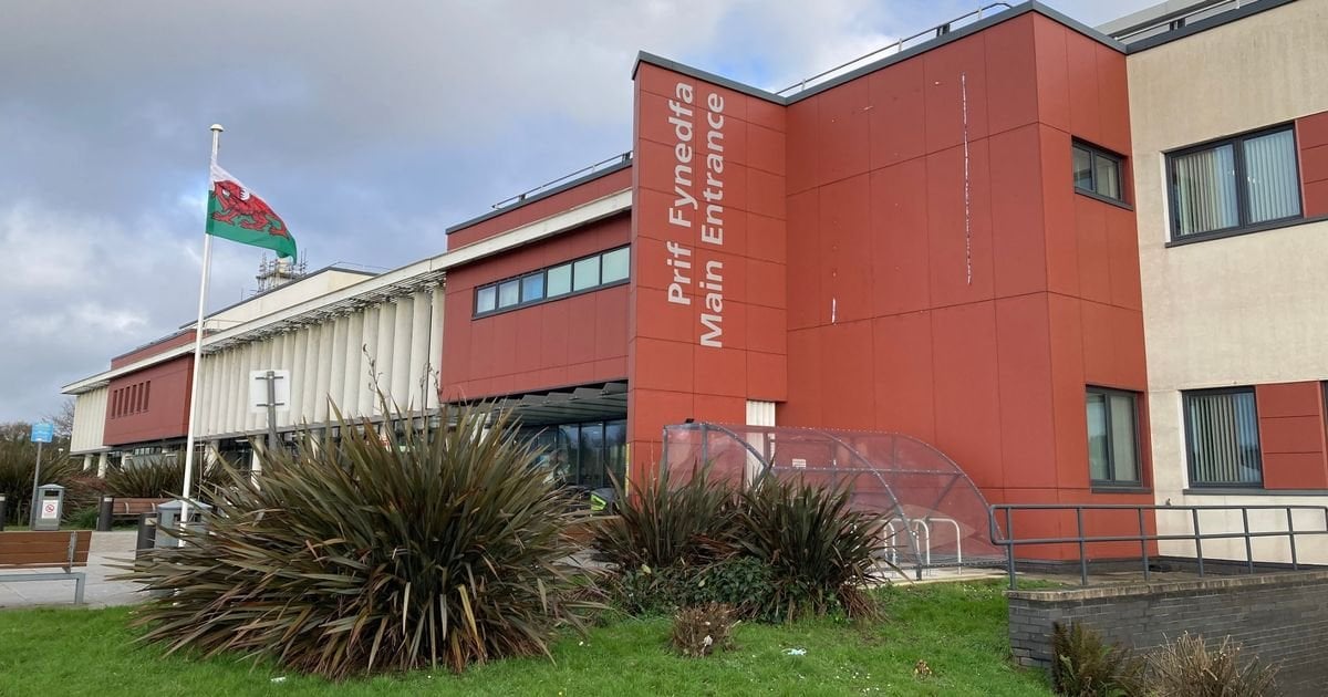 'Predatory' senior doctor at Welsh hospital sexually assaulted female staff