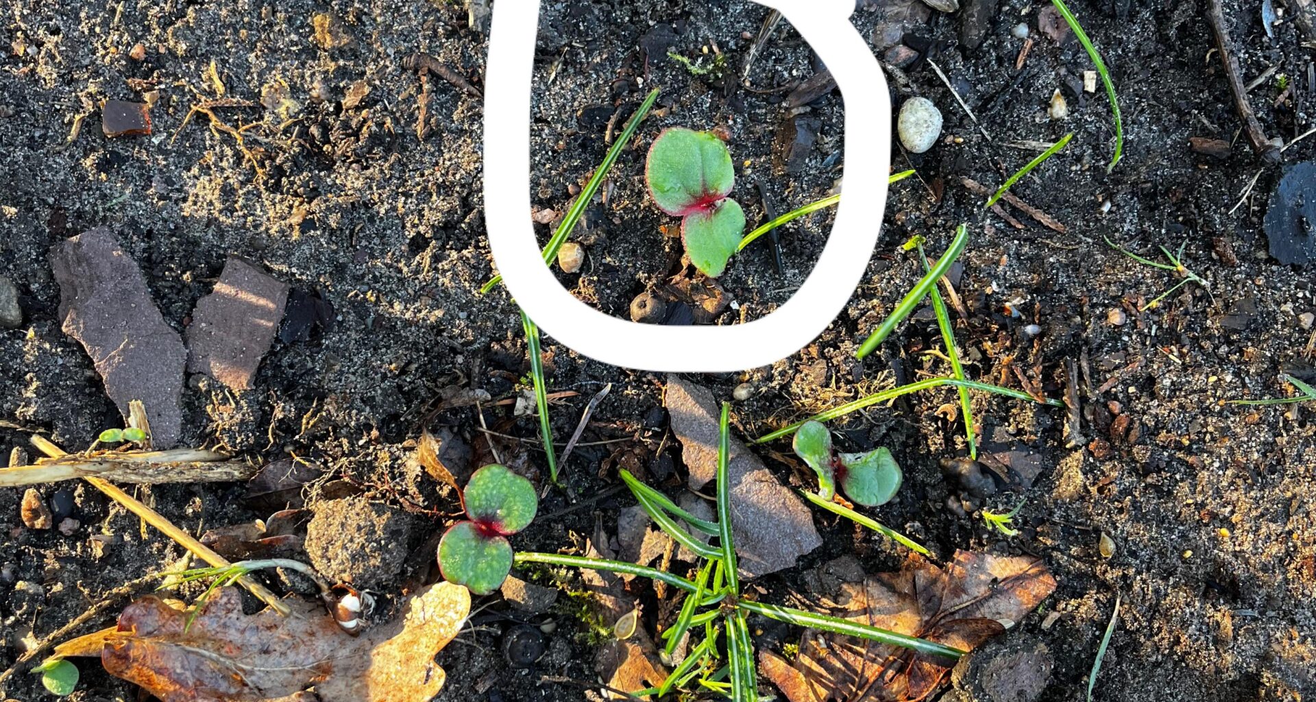 Was ist das?