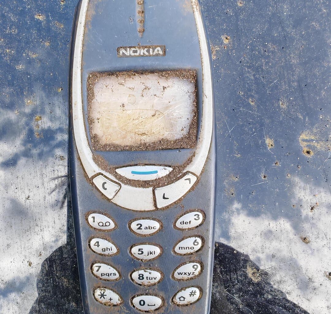 Found a fossil whilst digging up the garden