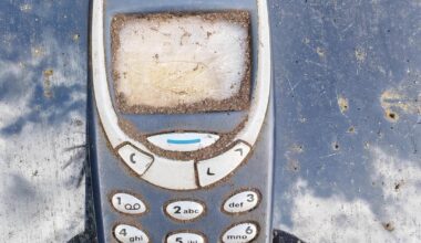 Found a fossil whilst digging up the garden