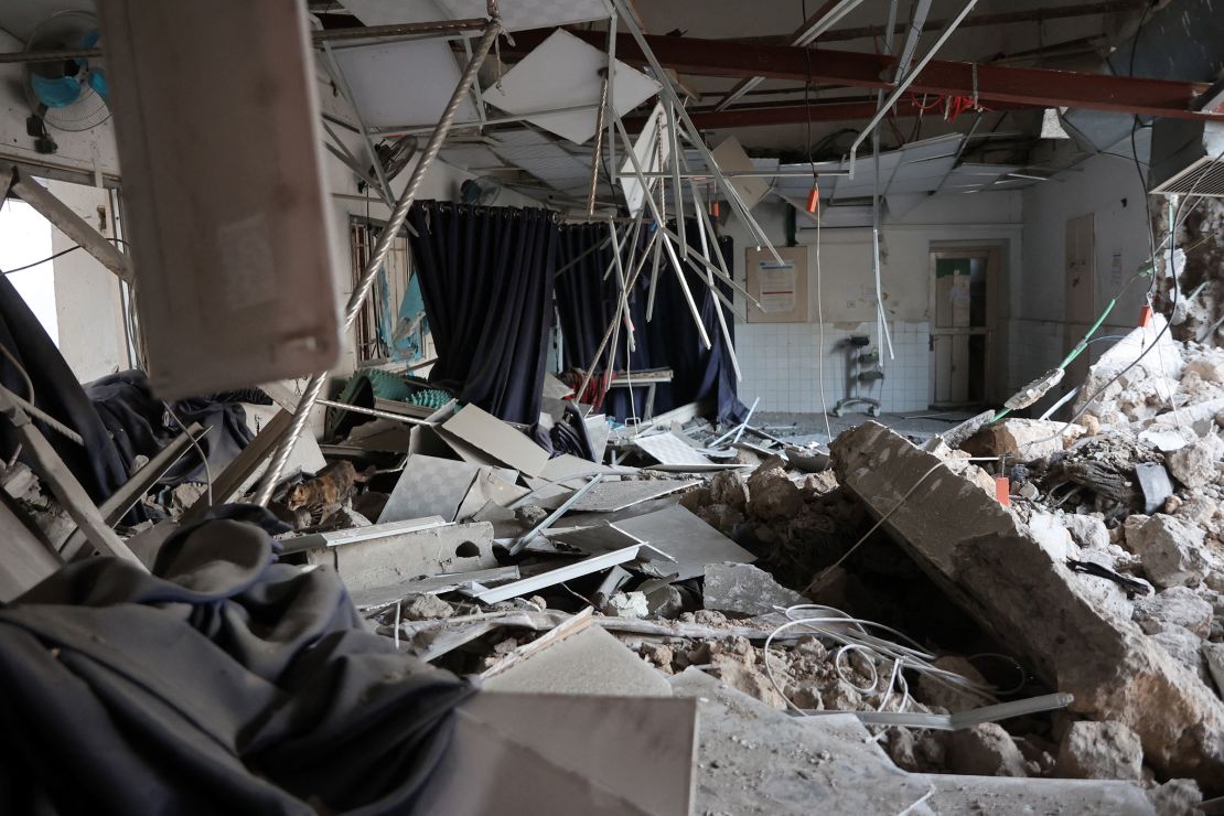 A cat walks through rubble in the aftermath of an Israeli strike on the Al-Ahli hospital in Gaza City on April 13, 2025.