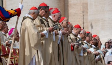 Who will be the next pope? Here's a list of some possible candidates to succeed Pope Francis.