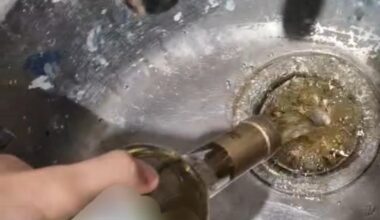 Just bought Spanish wine, AMA