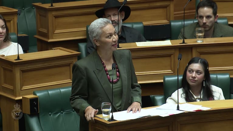 Green Party co-leader Marama Davidson speaks at the second reading of the Treaty Principles Bill.