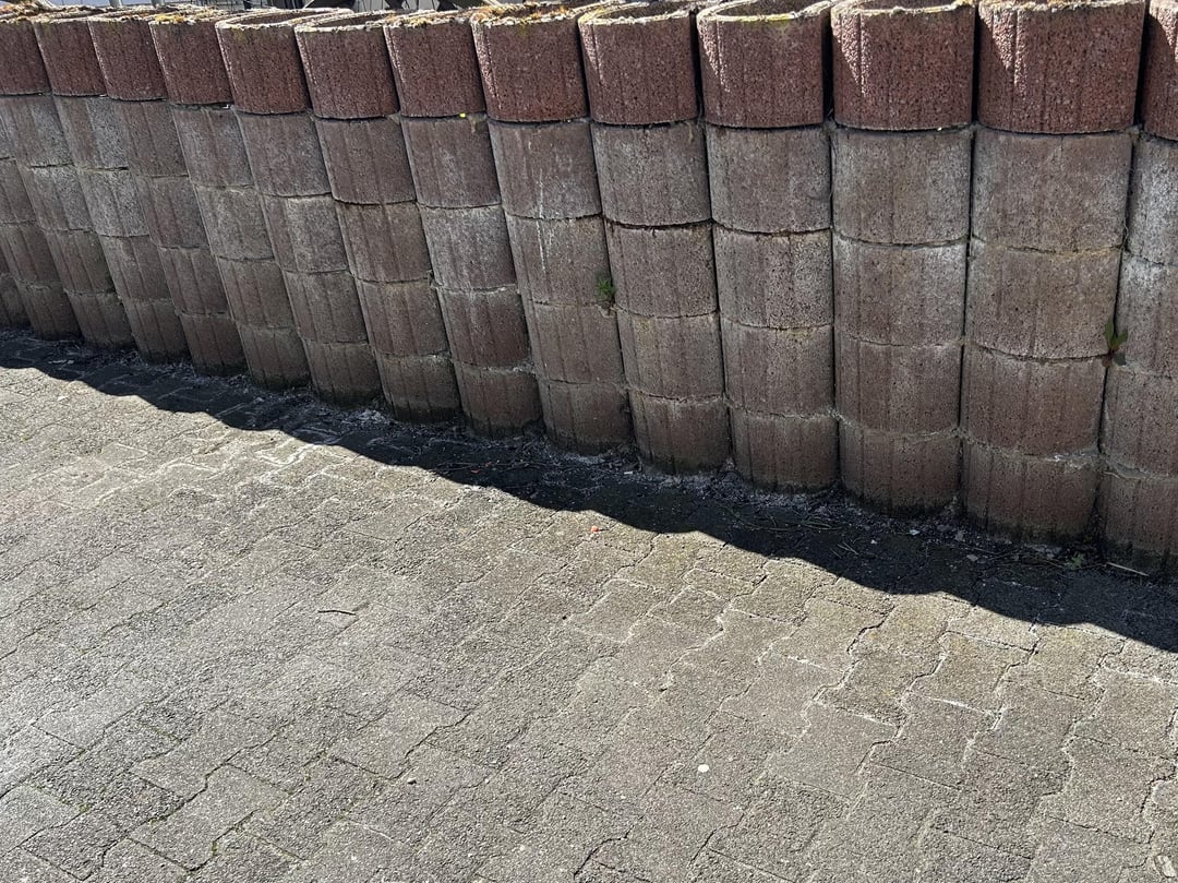 Grünen stabilen Sichtschutz aufbauen