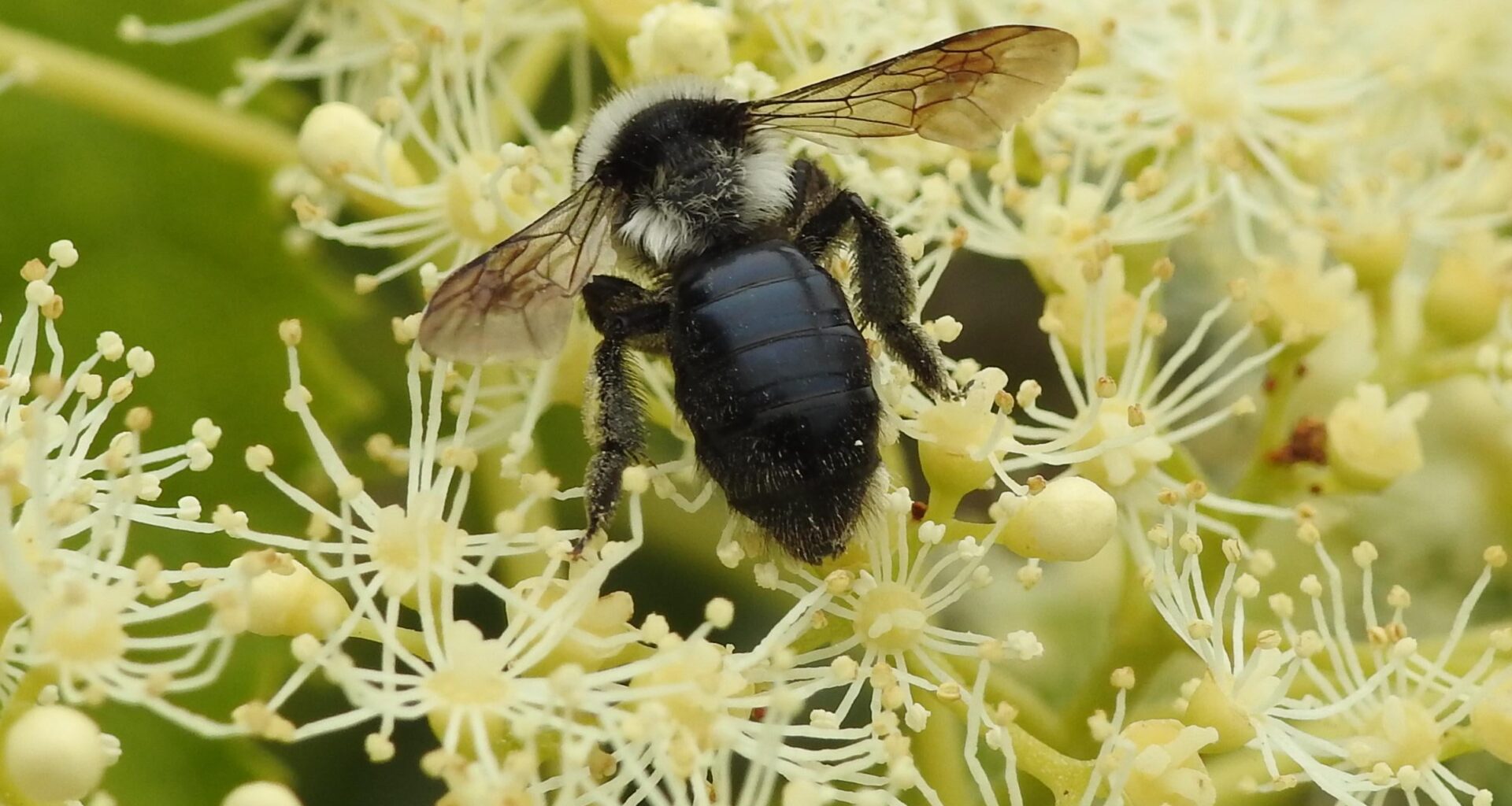 Auch ein schöner Rücken kann entzücken
