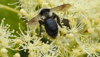 Auch ein schöner Rücken kann entzücken