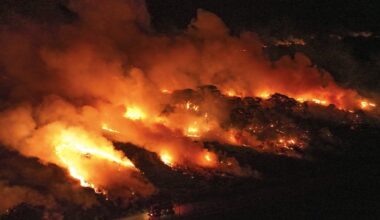 Brazilian justice orders government to seize lands with proven illegal deforestation