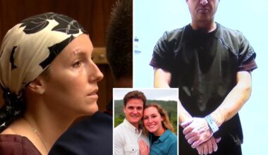 Battered nuclear engineer appears in court after husband allegedly tried to push her to her death off cliff in Hawaii