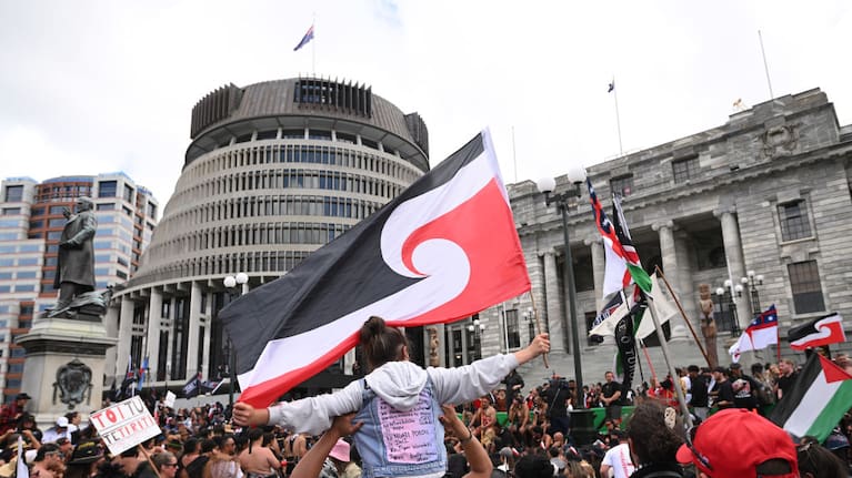 Hīkoi mō te Tiriti at Parliament