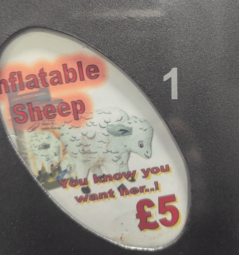 Found a sexy sheep in the sex toy machine in the bathroom at a pub in Scotland