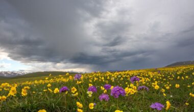 Slovensko - Výstraha na zajtra! Čo potrebujete vedieť o počasí na 10. 04. 2025