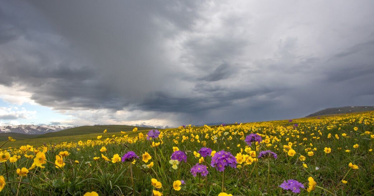 Slovensko - Výstraha na zajtra! Čo potrebujete vedieť o počasí na 10. 04. 2025