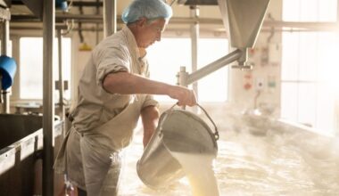'US cheese is crap': Why cheddar could avoid a Trump tariff meltdown
