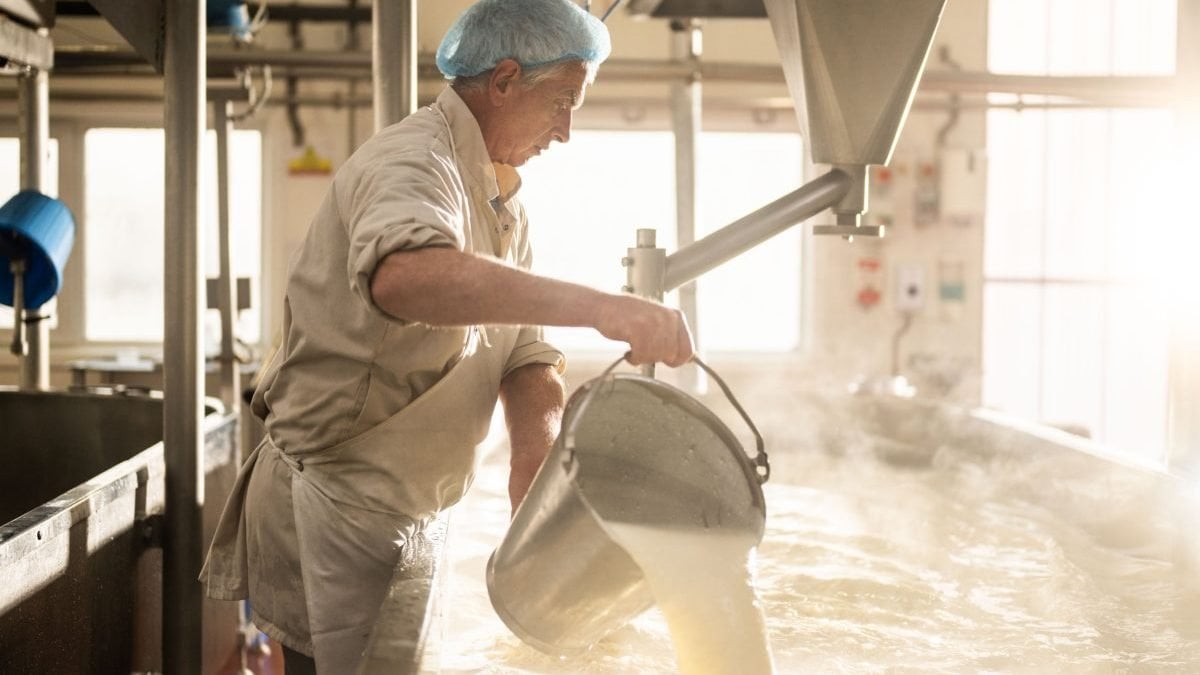 'US cheese is crap': Why cheddar could avoid a Trump tariff meltdown