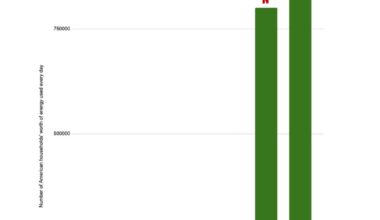 The Relative Impact of AI Chatbot Usage on the Environment