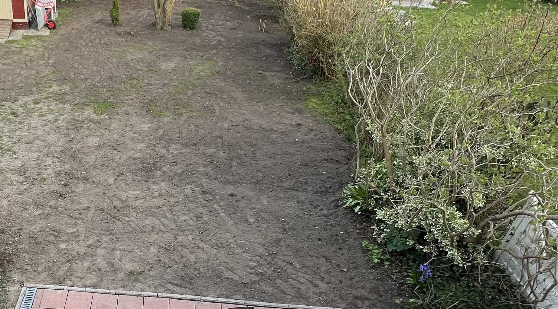 Es ist soweit: Rasen sähen!