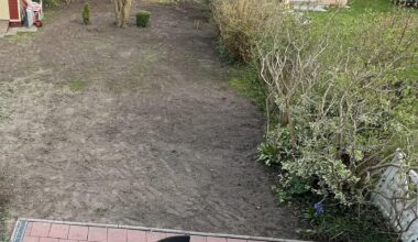Es ist soweit: Rasen sähen!